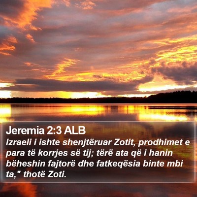 Jeremia 2:3 ALB Bible Verse Image