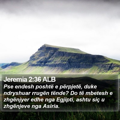 Jeremia 2:36 ALB Bible Verse Image