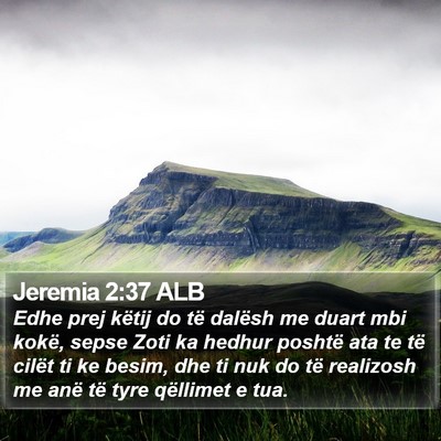 Jeremia 2:37 ALB Bible Verse Image