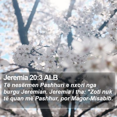 Jeremia 20:3 ALB Bible Verse Image