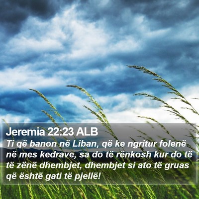 Jeremia 22:23 ALB Bible Verse Image