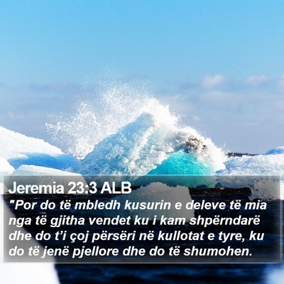 Jeremia 23:3 ALB Bible Verse Image
