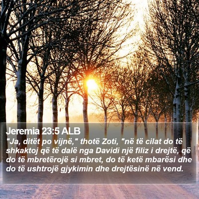 Jeremia 23:5 ALB Bible Verse Image