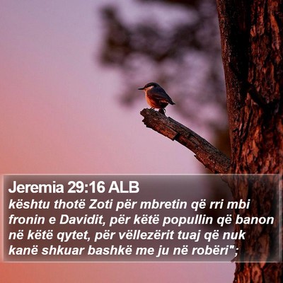 Jeremia 29:16 ALB Bible Verse Image