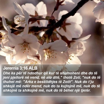 Jeremia 3:16 ALB Bible Verse Image