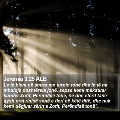 Jeremia 3:25 ALB Bible Verse Image