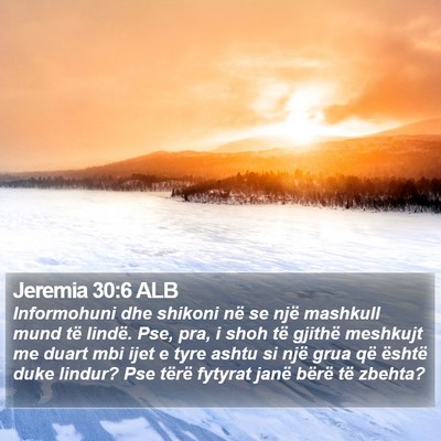 Jeremia 30:6 ALB Bible Verse Image