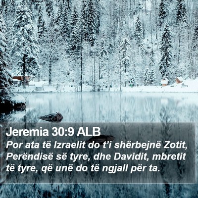 Jeremia 30:9 ALB Bible Verse Image