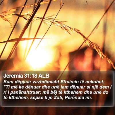 Jeremia 31:18 ALB Bible Verse Image