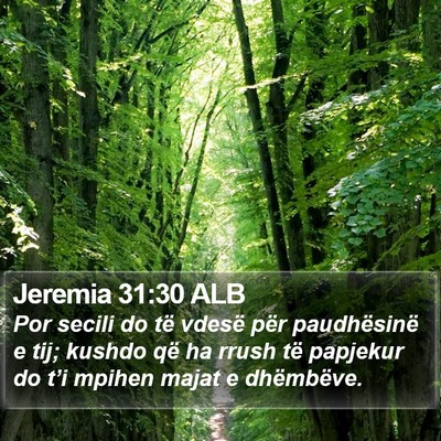 Jeremia 31:30 ALB Bible Verse Image