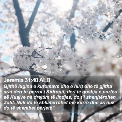 Jeremia 31:40 ALB Bible Verse Image