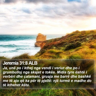 Jeremia 31:8 ALB Bible Verse Image