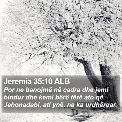 Jeremia 35:10 ALB Bible Verse Image
