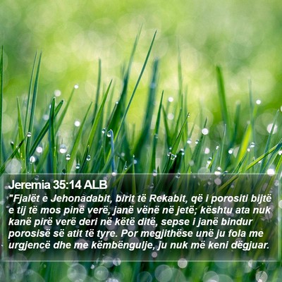 Jeremia 35:14 ALB Bible Verse Image