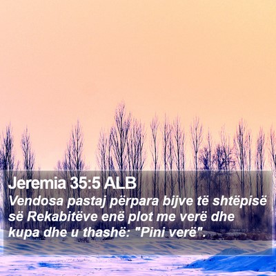 Jeremia 35:5 ALB Bible Verse Image