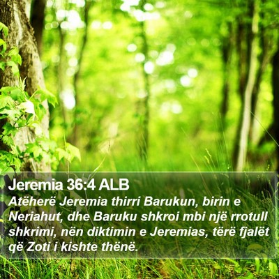 Jeremia 36:4 ALB Bible Verse Image