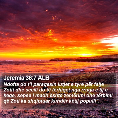 Jeremia 36:7 ALB Bible Verse Image
