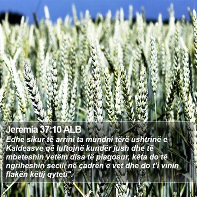 Jeremia 37:10 ALB Bible Verse Image