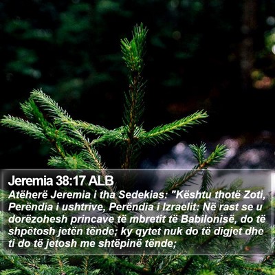 Jeremia 38:17 ALB Bible Verse Image