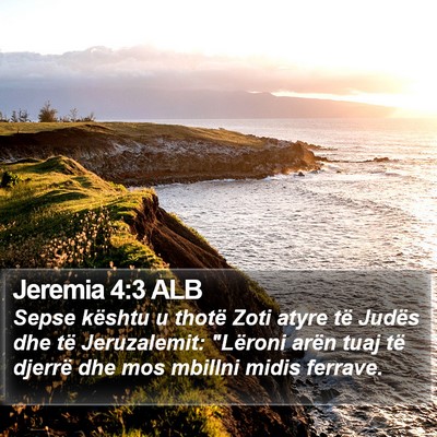 Jeremia 4:3 ALB Bible Verse Image