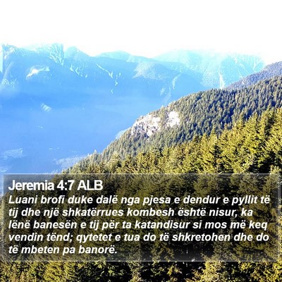 Jeremia 4:7 ALB Bible Verse Image