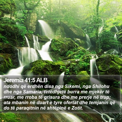Jeremia 41:5 ALB Bible Verse Image