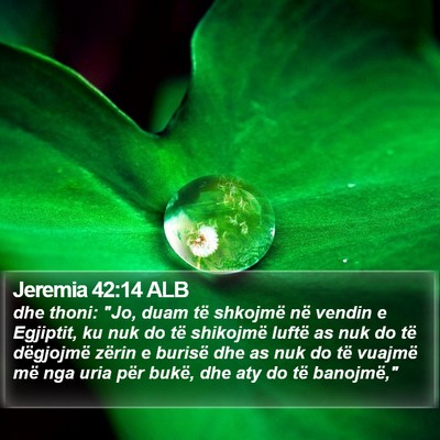 Jeremia 42:14 ALB Bible Verse Image