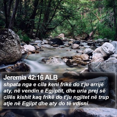 Jeremia 42:16 ALB Bible Verse Image