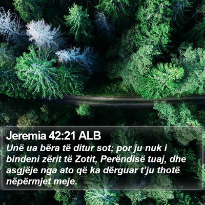 Jeremia 42:21 ALB Bible Verse Image