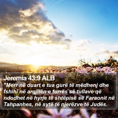 Jeremia 43:9 ALB Bible Verse Image