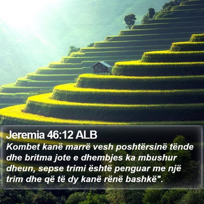 Jeremia 46:12 ALB Bible Verse Image
