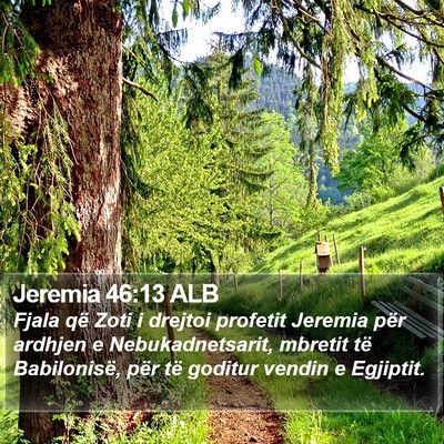 Jeremia 46:13 ALB Bible Verse Image