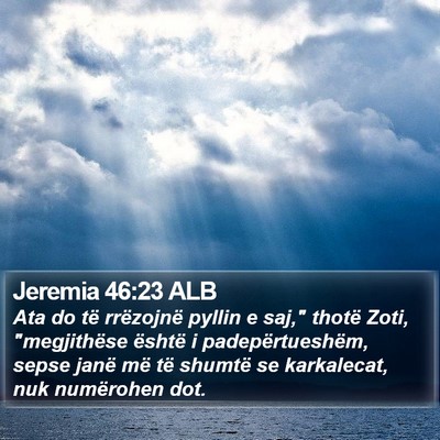 Jeremia 46:23 ALB Bible Verse Image