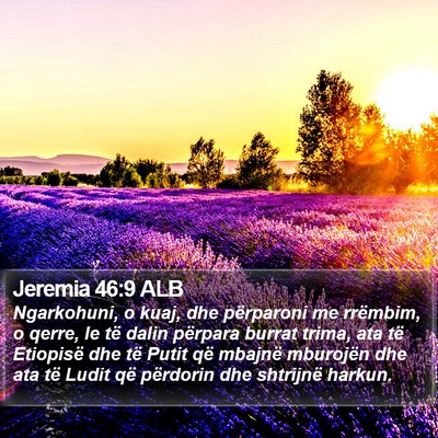 Jeremia 46:9 ALB Bible Verse Image