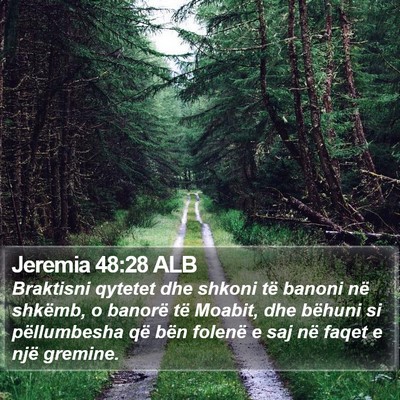 Jeremia 48:28 ALB Bible Verse Image