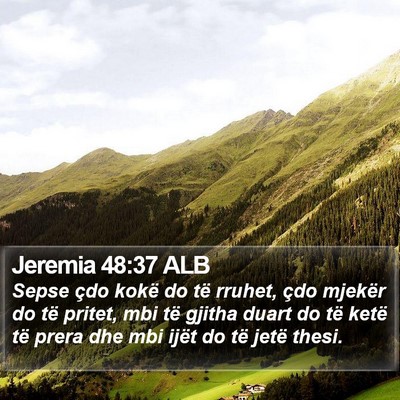 Jeremia 48:37 ALB Bible Verse Image
