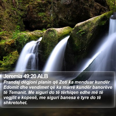 Jeremia 49:20 ALB Bible Verse Image