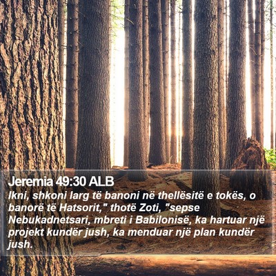 Jeremia 49:30 ALB Bible Verse Image