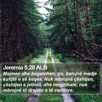 Jeremia 5:28 ALB Bible Verse Image