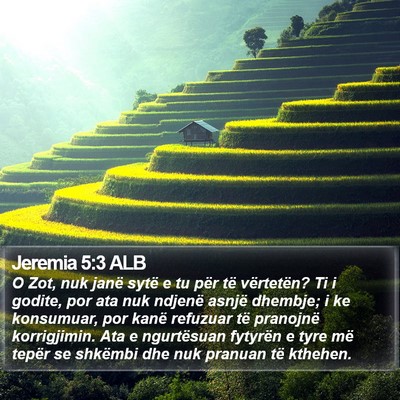 Jeremia 5:3 ALB Bible Verse Image