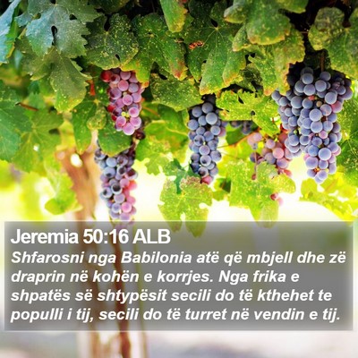 Jeremia 50:16 ALB Bible Verse Image