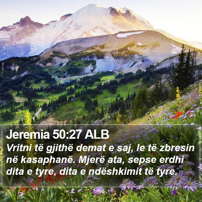 Jeremia 50:27 ALB Bible Verse Image