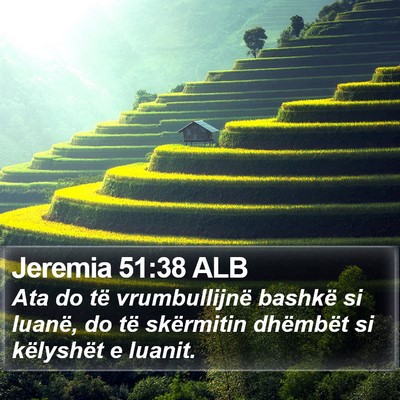 Jeremia 51:38 ALB Bible Verse Image