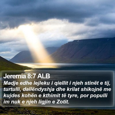 Jeremia 8:7 ALB Bible Verse Image