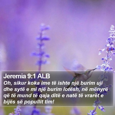Jeremia 9:1 ALB Bible Verse Image