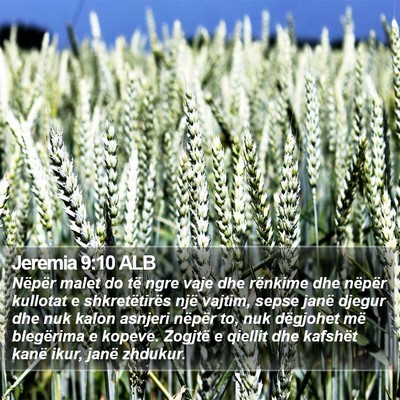 Jeremia 9:10 ALB Bible Verse Image