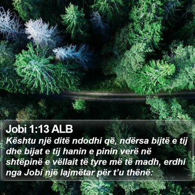 Jobi 1:13 ALB Bible Verse Image