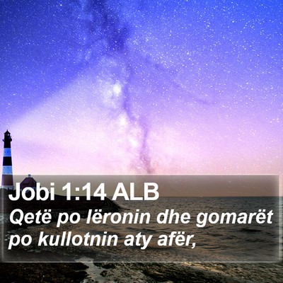 Jobi 1:14 ALB Bible Verse Image