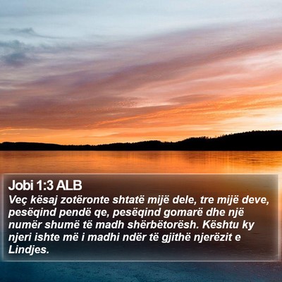 Jobi 1:3 ALB Bible Verse Image