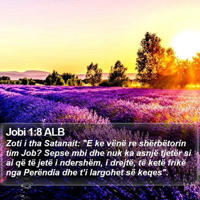 Jobi 1:8 ALB Bible Verse Image